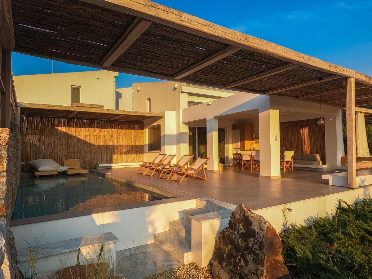 Aristotelia Gi - Premium Luxury Villas With Private Pools Olympiada Exterior photo