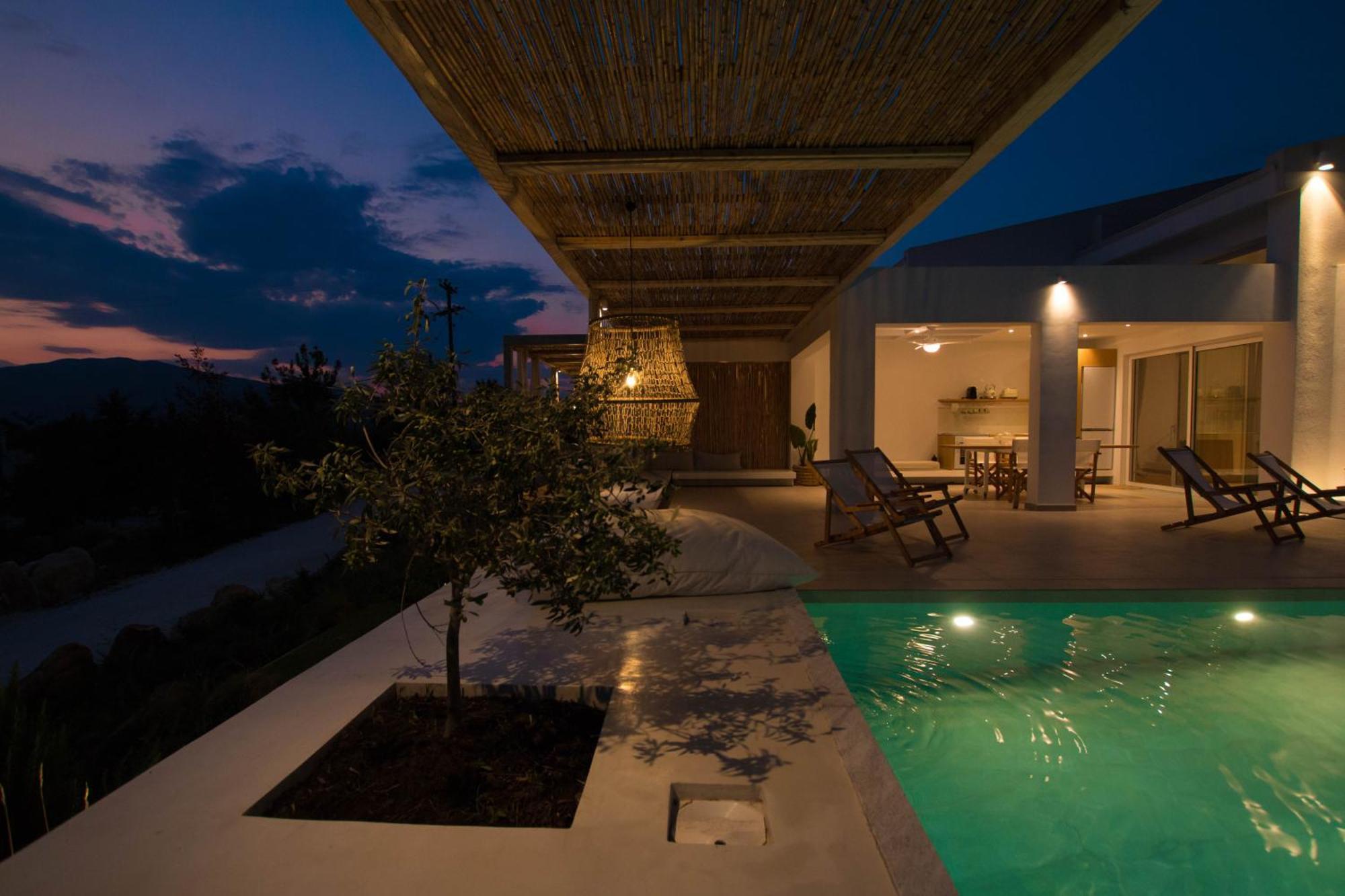 Aristotelia Gi - Premium Luxury Villas With Private Pools Olympiada Exterior photo